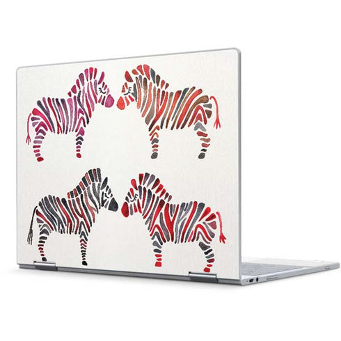Cat Coq Rainbow Zebras Pixelbook Skin